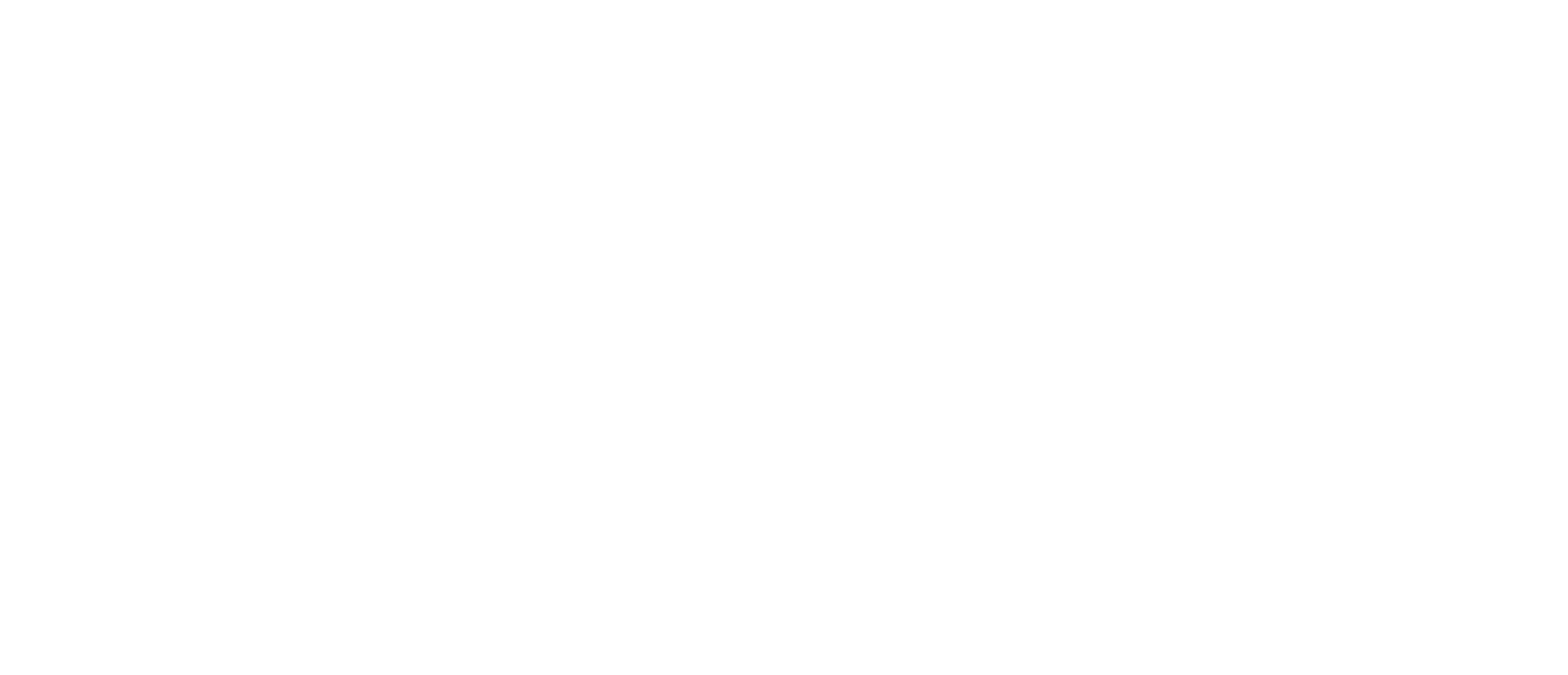 logo_dinatrace